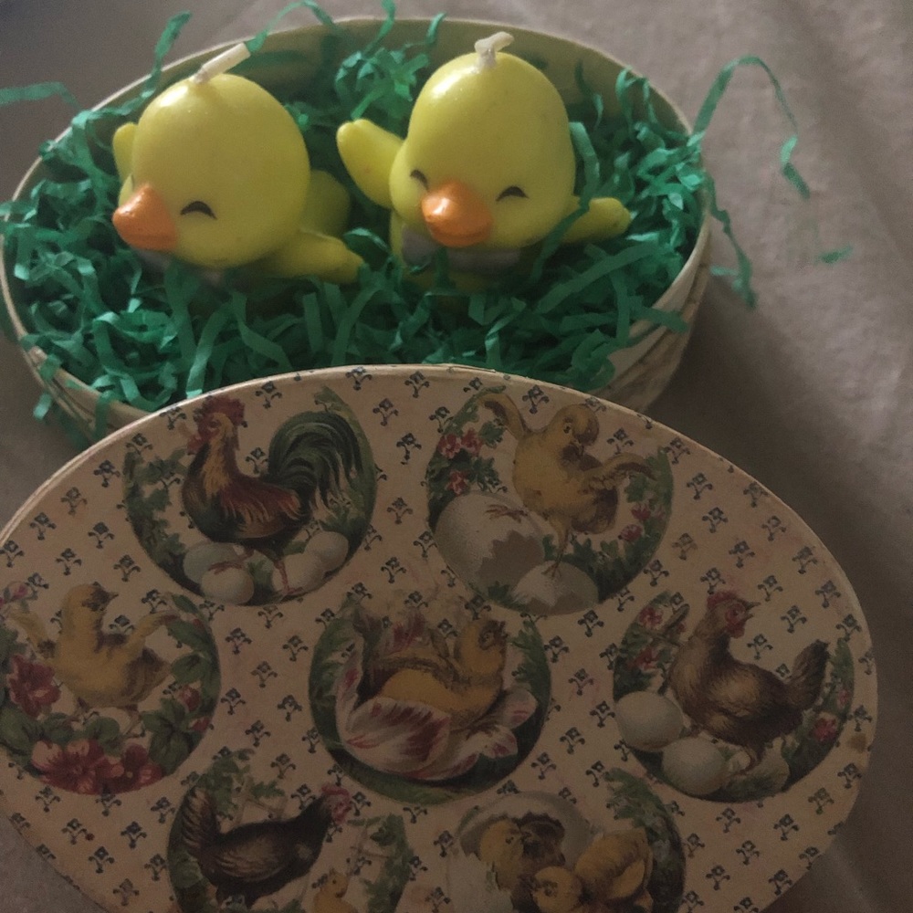 An Easter egg box of chicks